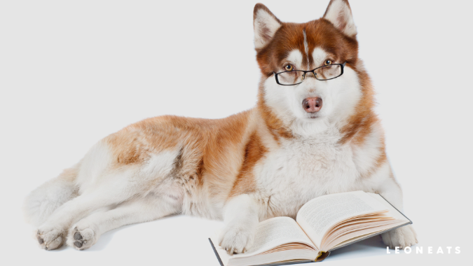 談談寵物營養（4）－ 貓犬六大必需營養素：維生素(圖)