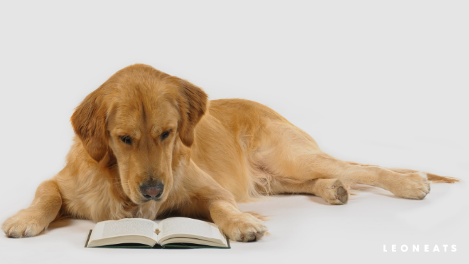 談談寵物營養（5）－ 貓犬六大必需營養素：礦物質(圖)