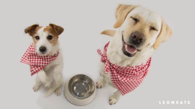 談談寵物營養（11）－ 餵養計畫(圖)