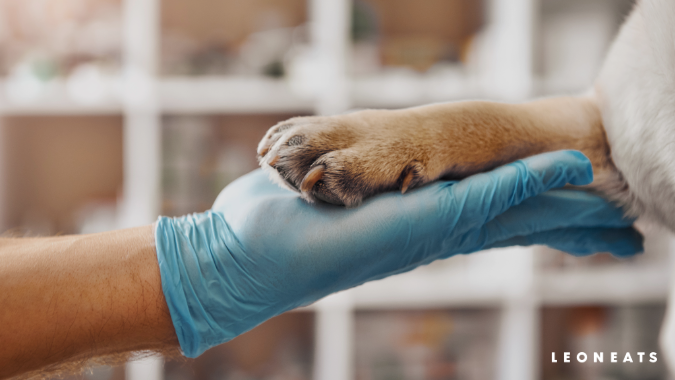 談談寵物營養（12）－ 寵物食品與保健品的法規與標示​​(圖)